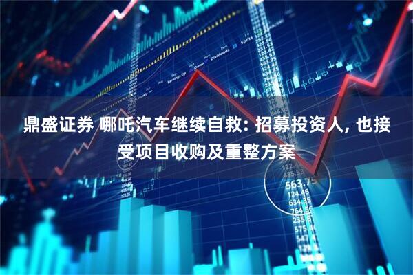 鼎盛证券 哪吒汽车继续自救: 招募投资人, 也接受项目收购及重整方案