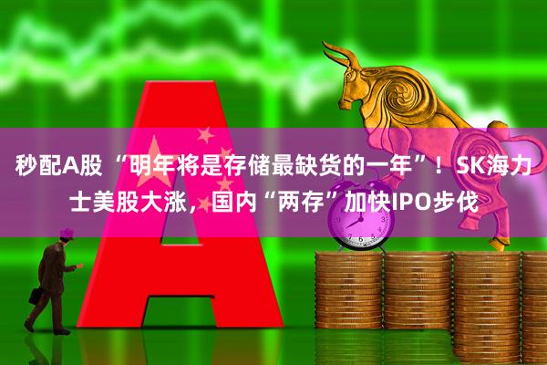 秒配A股 “明年将是存储最缺货的一年”！SK海力士美股大涨，国内“两存”加快IPO步伐